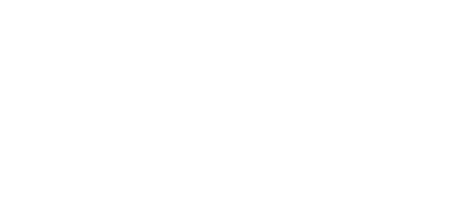 Arctic IT Government Solutions Logo White