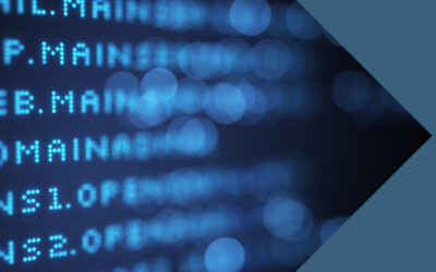 When Everything Works Except the Internet Can’t Find You: A DNS Wake-Up Call for Federal Agencies